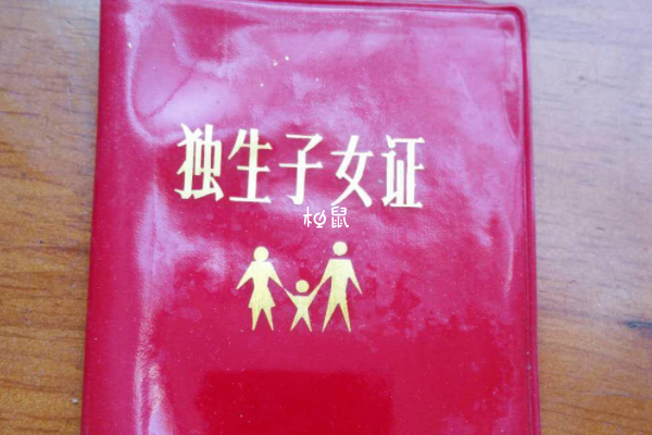 上海独生子女证明补办到乡政府进行