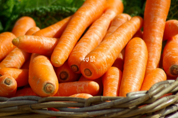 胡萝卜是一种碱性食物