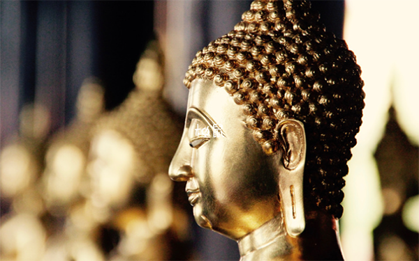 佛教认为做试管是强求的缘分