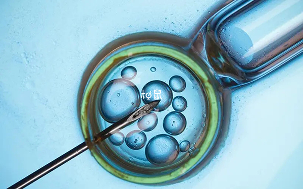 移植囊胚后不成功可能会流出来