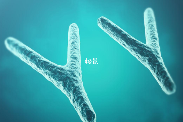 染色体异常容易引发疾病