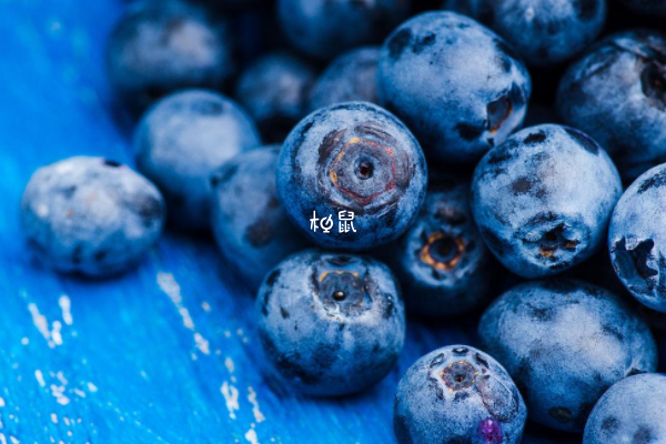 孕妇必吃的十二种低糖水果有蓝莓