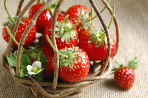 糖尿病可以吃草莓
