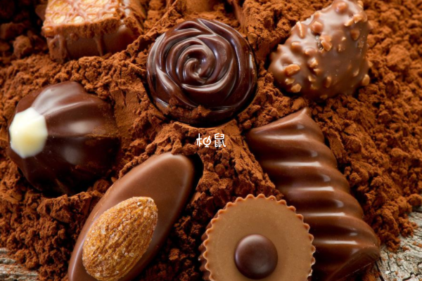 代可可脂巧克力会导致肾功能衰竭