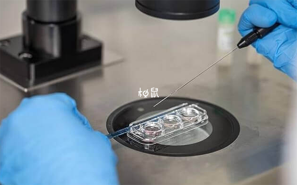 囊胚pgs活检取细胞液做标本