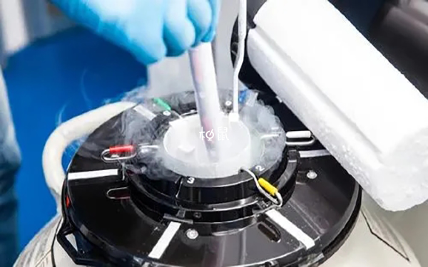 目前胚胎冷冻技术已经相对成熟