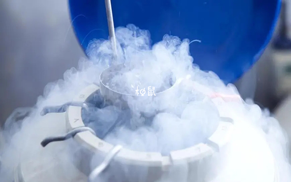 胚胎冷冻5-10年内都可以移植