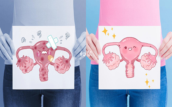 移植胚胎前通过合理饮食保养子宫