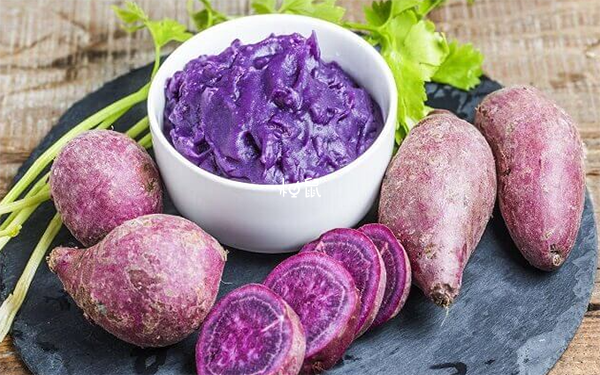 紫薯长胎效果更好