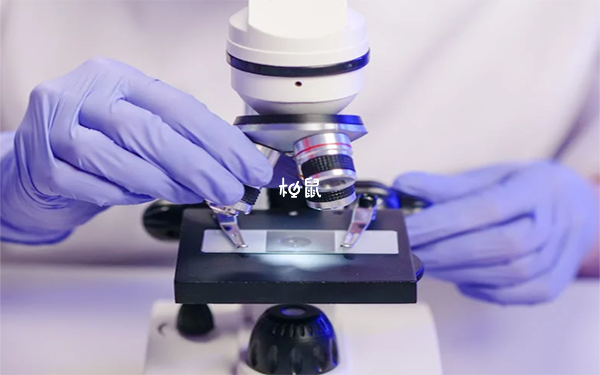 pims试管技术可筛选胚胎基因