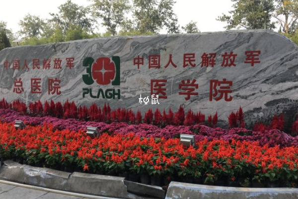 北京301医院三代试管婴儿成功率在60%左右