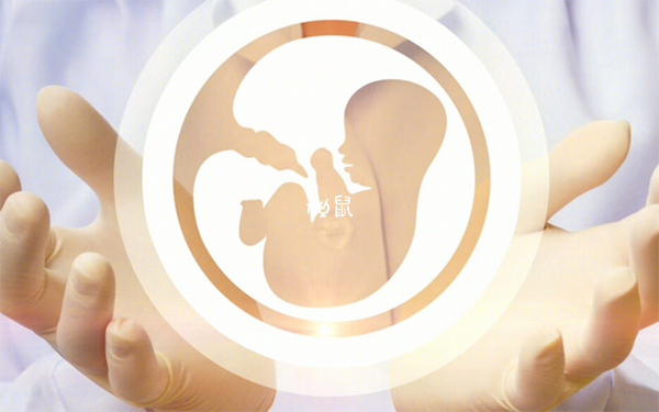 生化妊娠后做试管容易怀孕