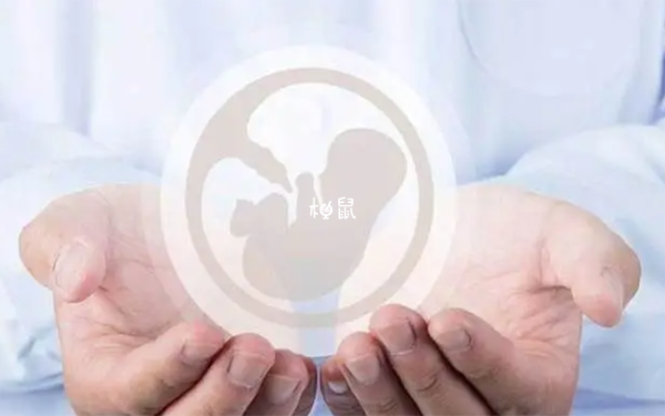 胚胎移植的成功率取决于多种因素