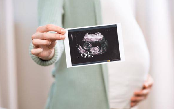 怀孕早期做b超监测到胎芽