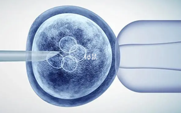 拮抗剂方案可能适合移植鲜胚