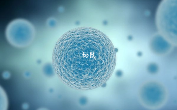 胚胎质量不好可能导致促排卵泡空囊