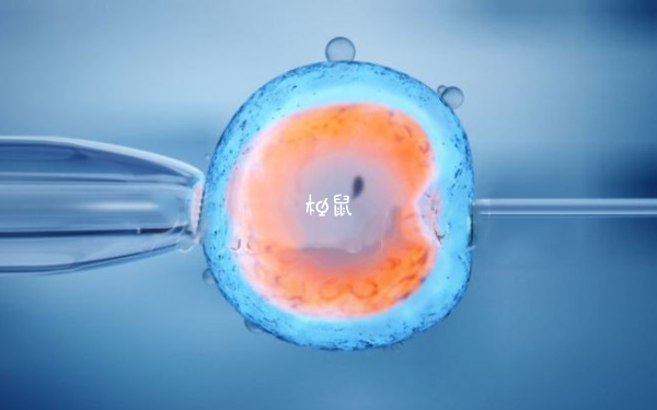 一般三代试管6个囊胚能筛选3个