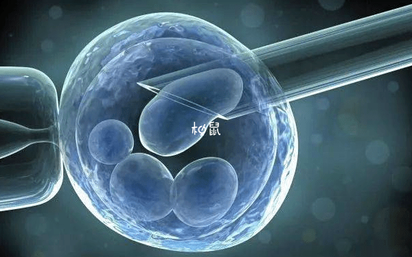 人工助孕一次能放二个胚胎