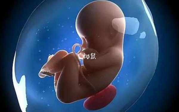 怀女宝胎动可能出现在肚子上方