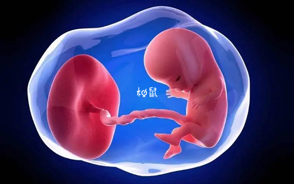 优胚和普胚生出的宝宝没有区别