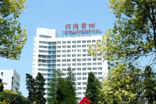 武汉同济医院做试管需要3个月左右时间