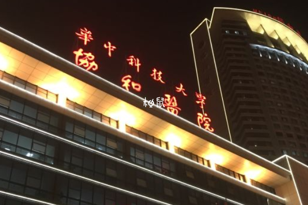 武汉同济医院试管婴儿成功率在60%左右