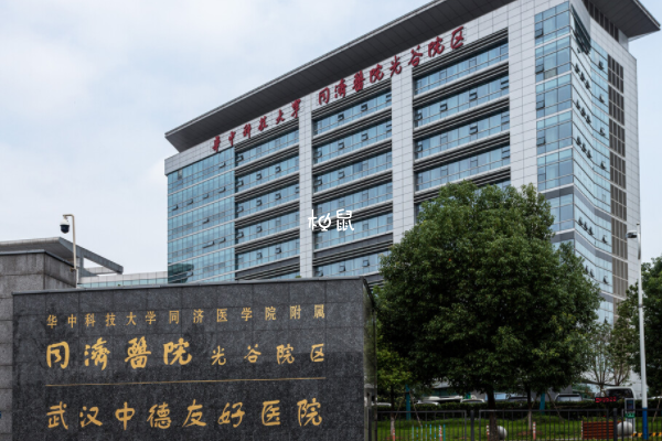 武汉同济医院做试管是有条件限制的