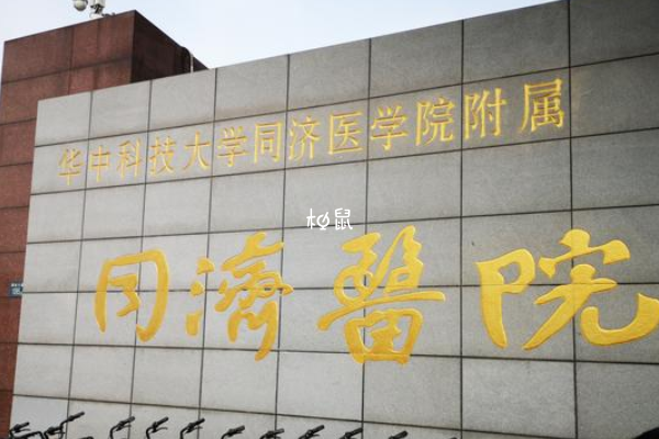 武汉同济医院供卵试管成功率约50%-60%
