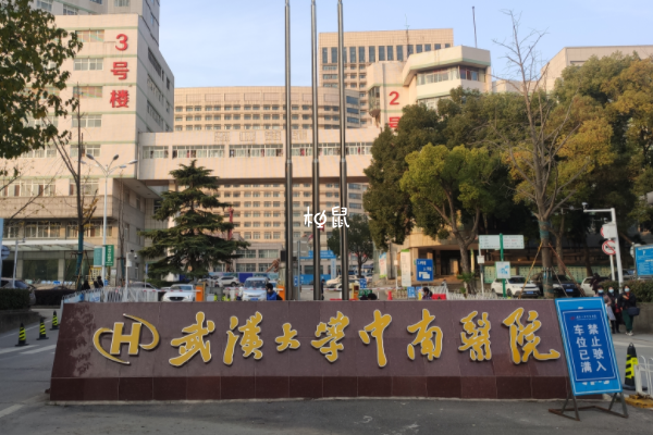 武汉中南医院胚胎培养成功率约60%