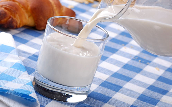 移植后喝牛奶可能会引起腹胀