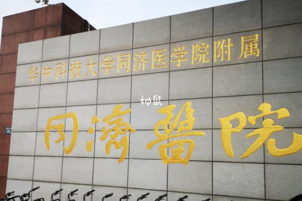武汉同济医院供精助孕成功率是很不错的