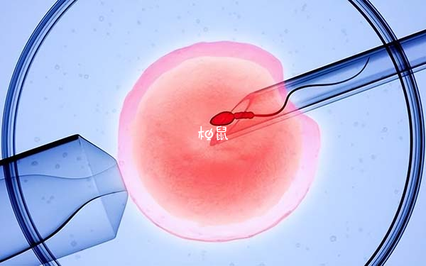 剖腹产对二胎试管移植有影响