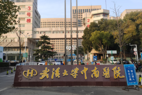 武汉中南医院二代试管成功率约45%-55%