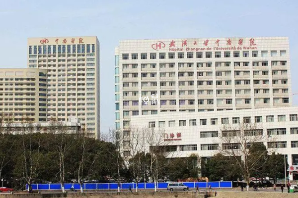 武汉中南医院和人民医做试管都是不错的