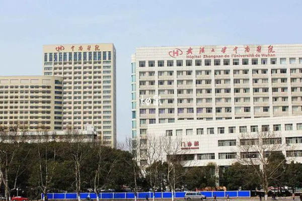 武汉中南医院供卵试管怎成功率较高