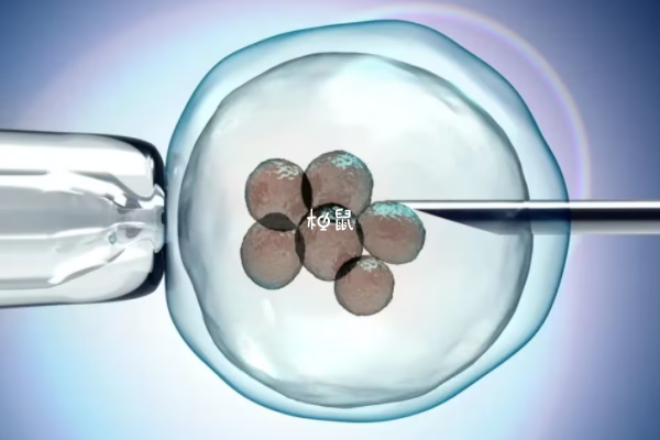 湖南省妇幼胚胎移植费用在5000-10000元不等