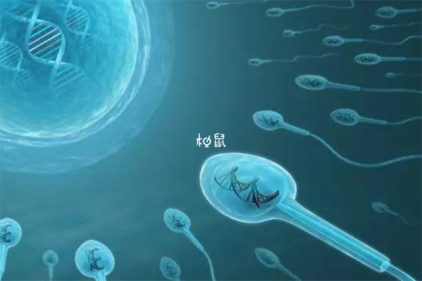 二代试管筛选出健康且优质的精子进行受精