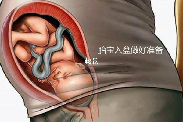 胎儿入盆后胎动一般是在肚脐周围