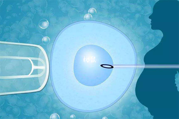 胚胎移植是试管流程里最难的环节