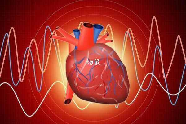 心脏有问题可能会出现心率加快的情况