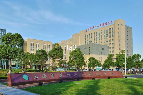 上海六院试管婴儿费用在3-7万元不等