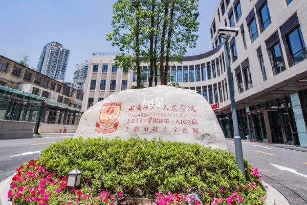 上海市一医院试管成功率超过40%