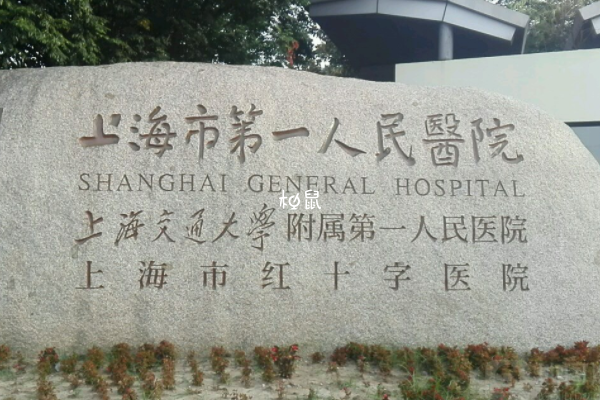 上海市一医院有很多试管医生都不错