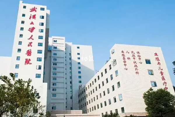 武汉大学人民医院做试管费用约3-9万