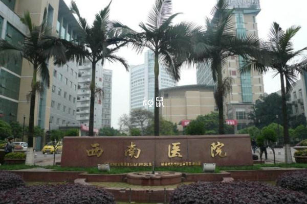 重庆西南医院试管成功率比较高