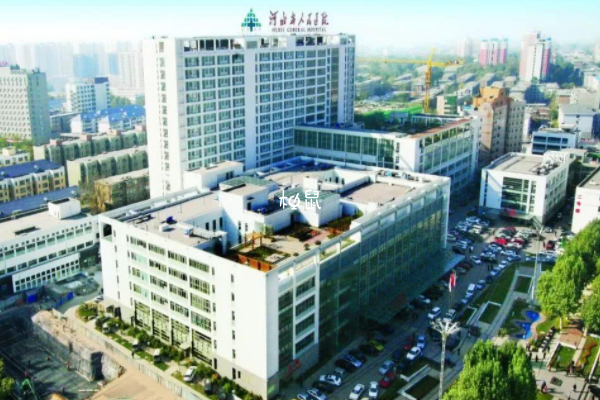 河北省人民医院试管婴儿成功率约40%-50%