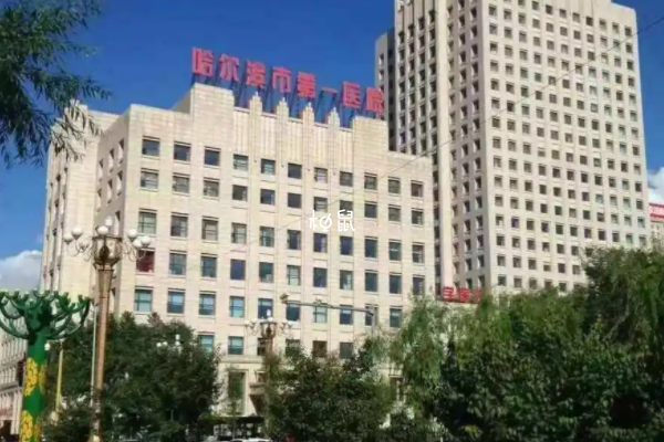 哈尔滨第一医院试管成功率还不错