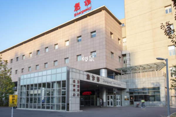 徐州矿总医院试管成功率约55%左右