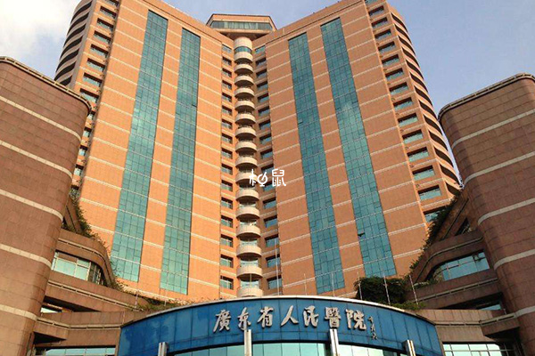 广东省人民医院试管成功率一览