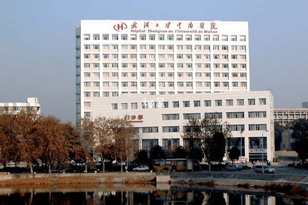 武汉中南医院试管成功率约40%-50%